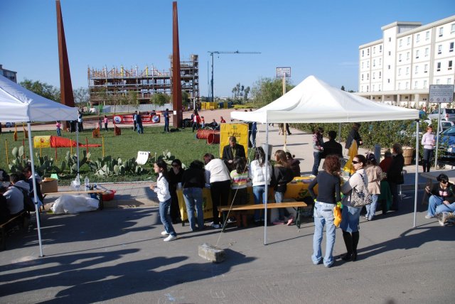 100 strade per giocare 2008